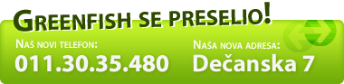 Web Dizajn firma Greenfish se preselila. Nova adresa je: Decanska 7, a telefon: 011 303 54 80